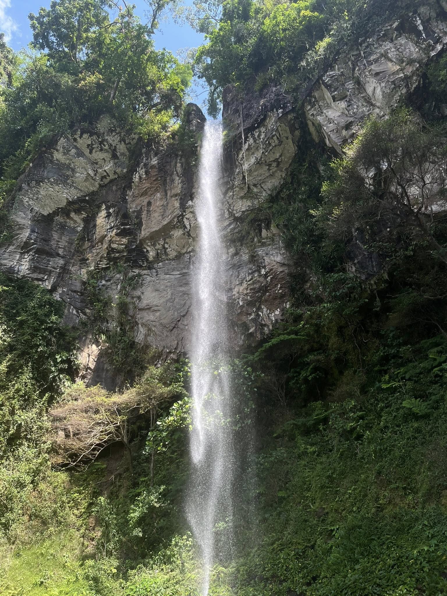 albay_verafalls gallery image 4